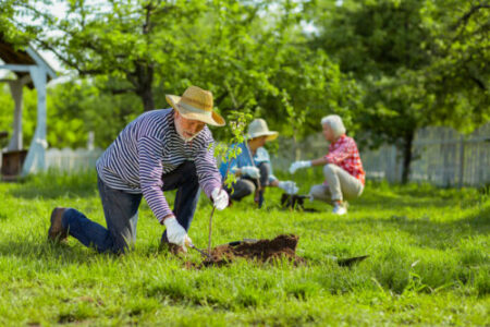 Health Benefits of Gardening for Seniors Huntsville