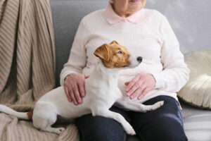 Pet Therapy for Seniors of Huntsville