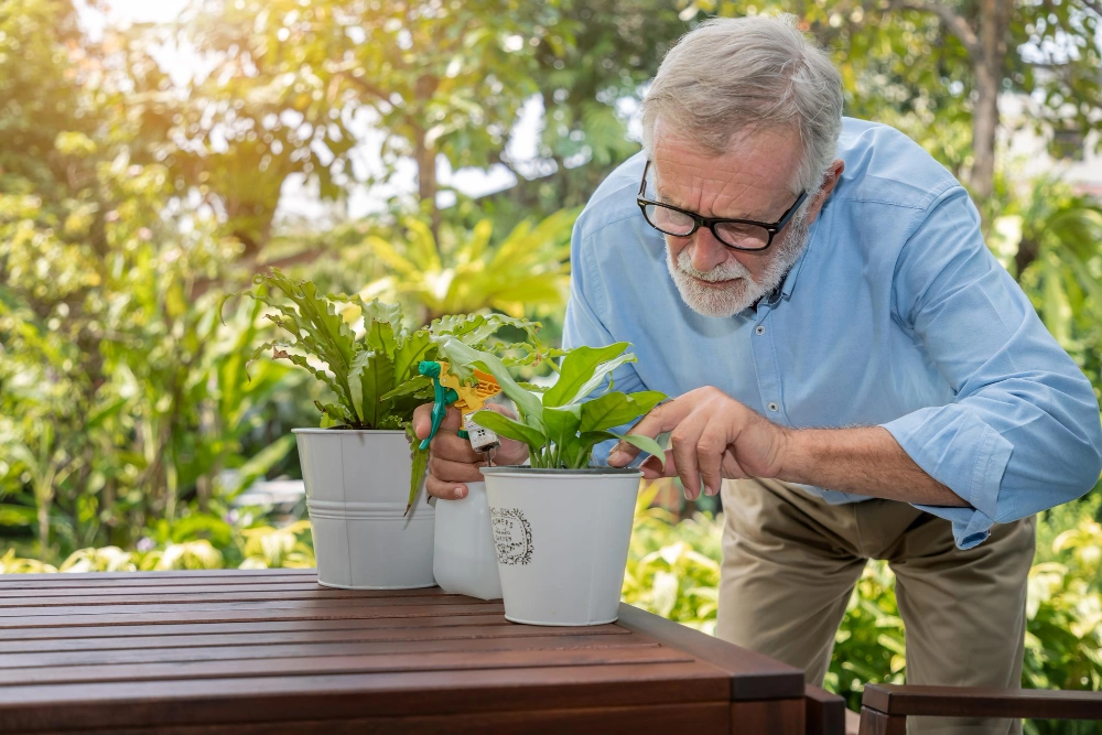 How Gardening Improves Senior Well-Being